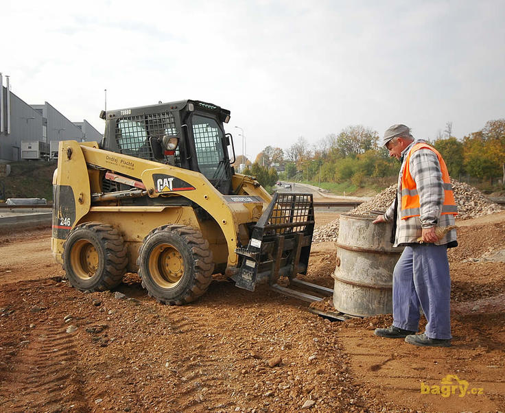 Caterpillar 246