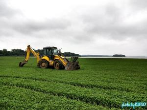 Re: New Holland LB115.B