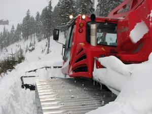 Re: Pisten bully 