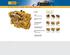 Phoenix-Zeppelin spouští micro site o nízkoemisních motorech Caterpillar