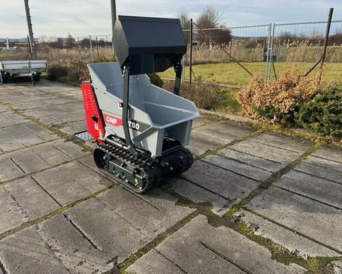 CNF T50d