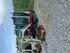 TAKEUCHI TB216