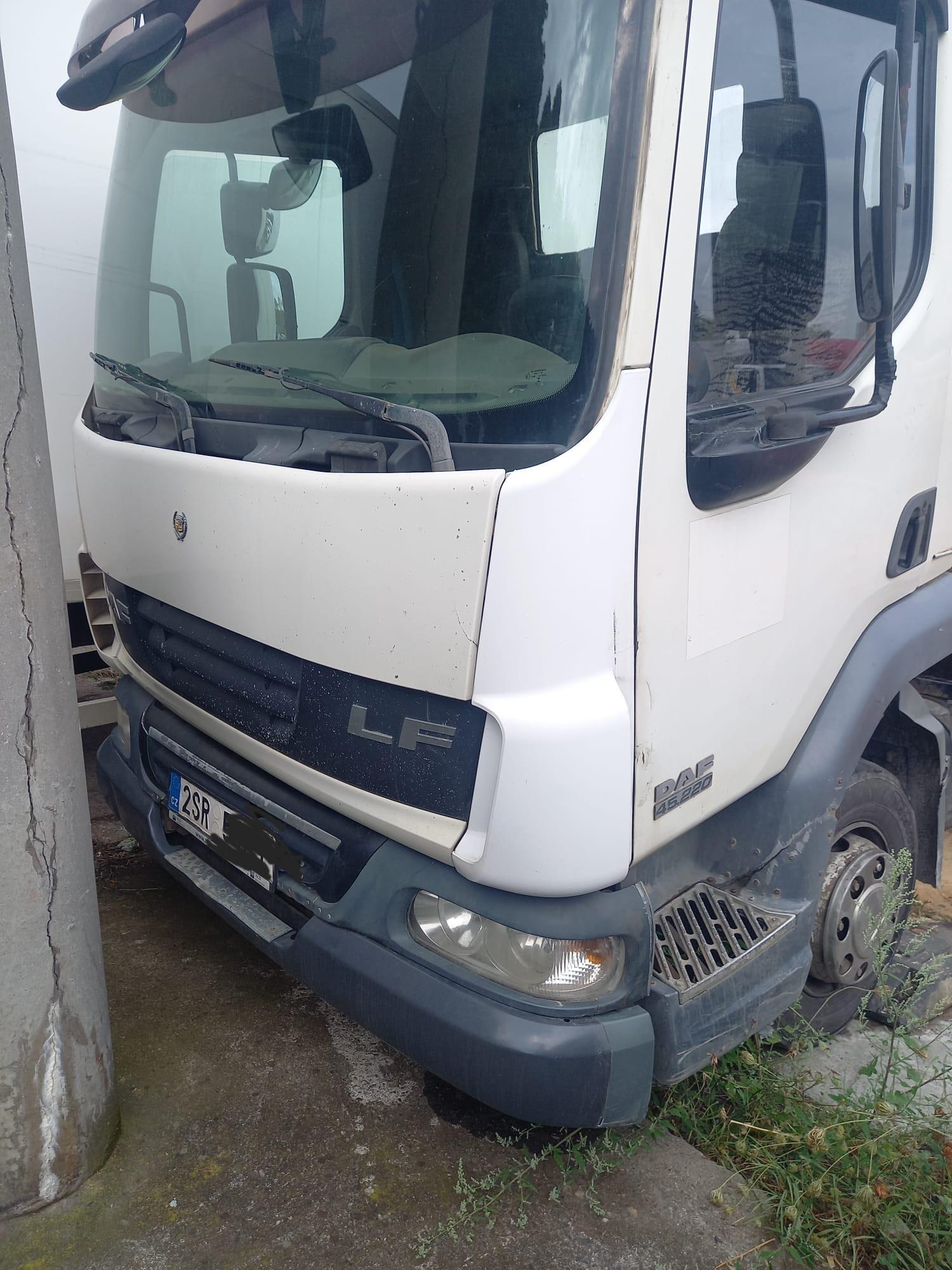DAF LF 45.220, kontejner