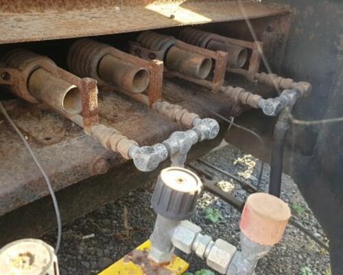 _JINÉ (USA) Wyllie - 50R