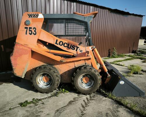 Locust 753