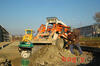 Locust L752