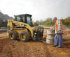 Caterpillar 246