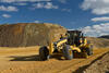 Caterpillar 24