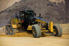 Caterpillar 24