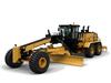 Caterpillar 24